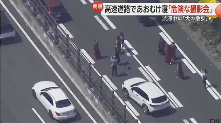 中国女子躺在日本高速路上摆拍,还遛狗、散步,引600万人围观被骂上了日推!(组图) - 22