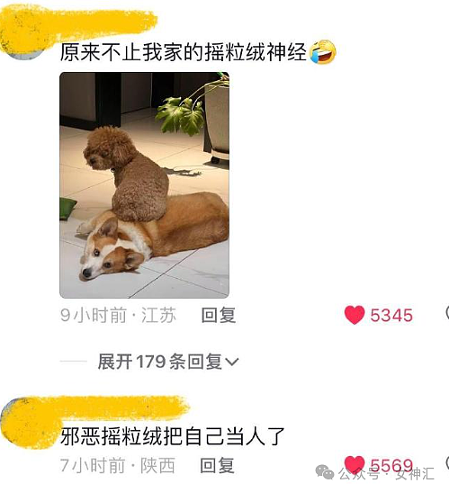 【爆笑】情侣酒店这种大床房是认真的么?网友夺笋:睡一半起来走T台了(组图) - 38