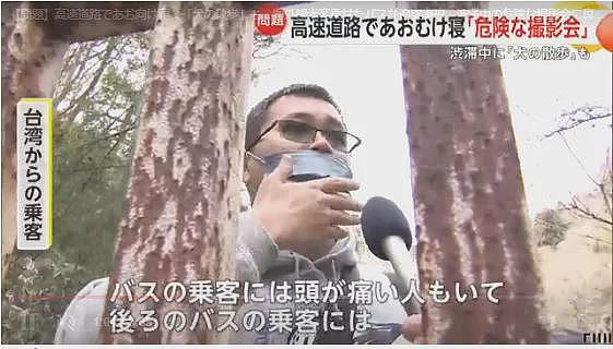 中国女子躺在日本高速路上摆拍,还遛狗、散步,引600万人围观被骂上了日推!(组图) - 9