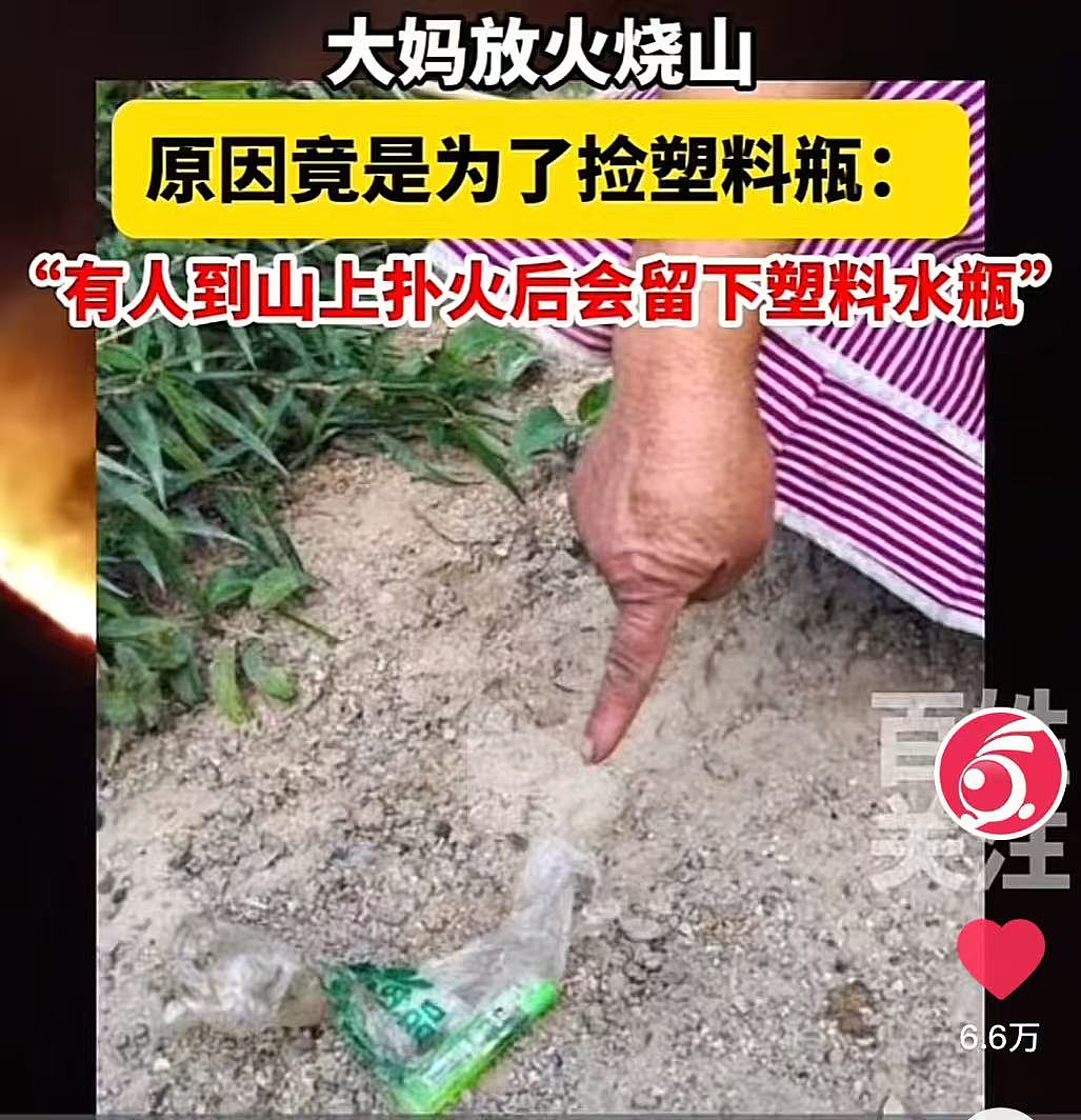“夺路生财”成都女子被抓:你不要脸的样子,真丑(组图) - 9