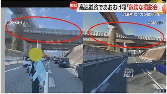中国女子躺在日本高速路上摆拍,还遛狗、散步,引600万人围观被骂上了日推!(组图) - 11