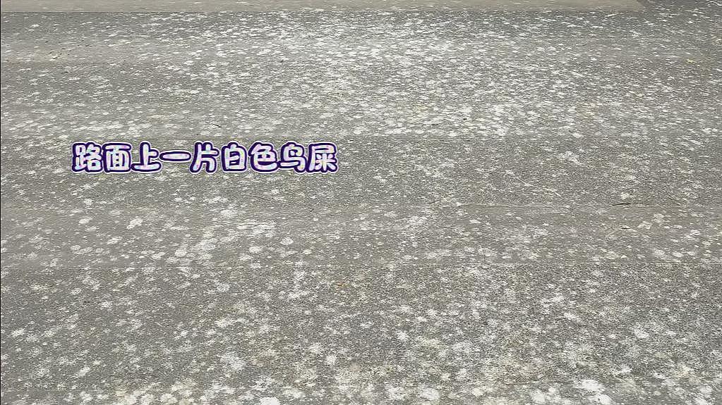郑州闹市“天屎之路”引争论：该迁走还是再忍忍（组图） - 4