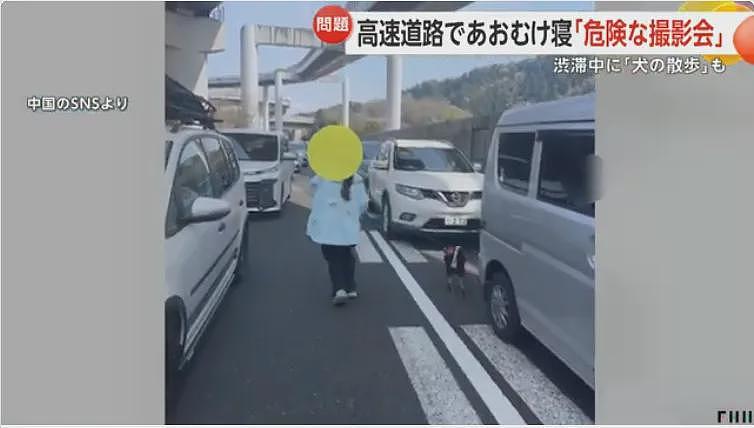 中国女子躺在日本高速路上摆拍,还遛狗、散步,引600万人围观被骂上了日推!(组图) - 3