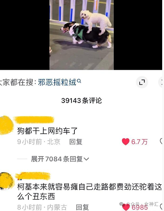 【爆笑】情侣酒店这种大床房是认真的么?网友夺笋:睡一半起来走T台了(组图) - 35