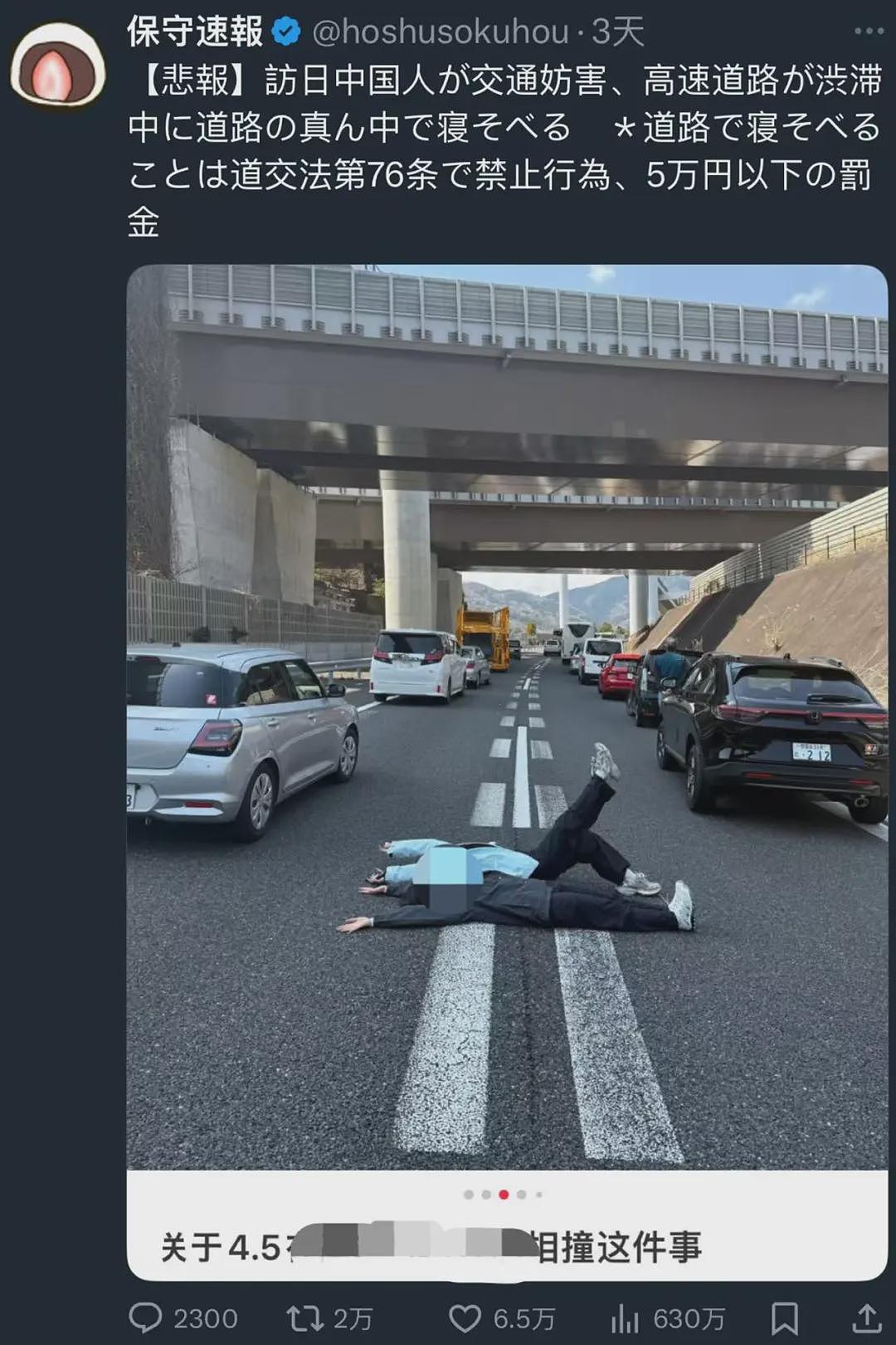 中国女子躺在日本高速路上摆拍,还遛狗、散步,引600万人围观被骂上了日推!(组图) - 23