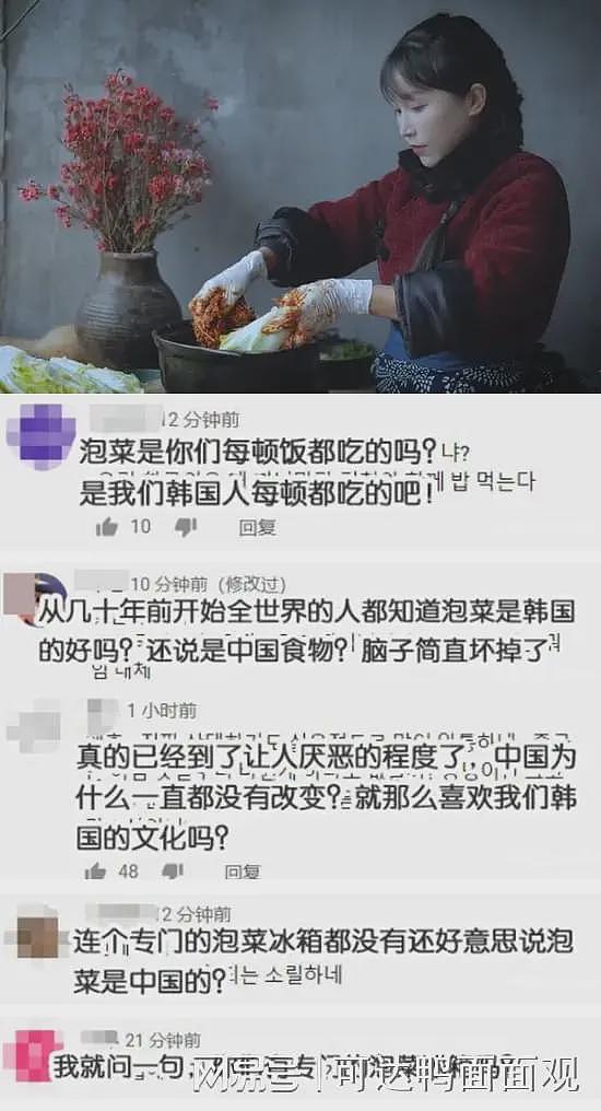 韩国人在美国申请饺子外观专利获批，以后在美华人卖饺子或将侵权（组图） - 3