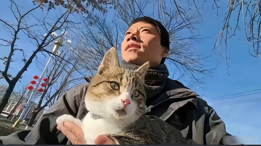 网红猫“悟空”新疆被车撞死!曾随主人上雪山越戈壁(组图) - 4