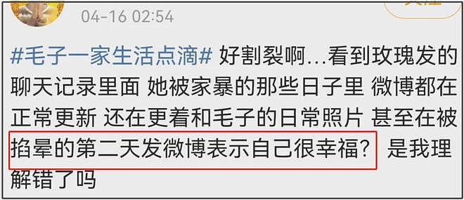 百万网红跨国夫妻离婚风波升级！女方自曝被家暴，男方当孩子面动手（组图） - 10