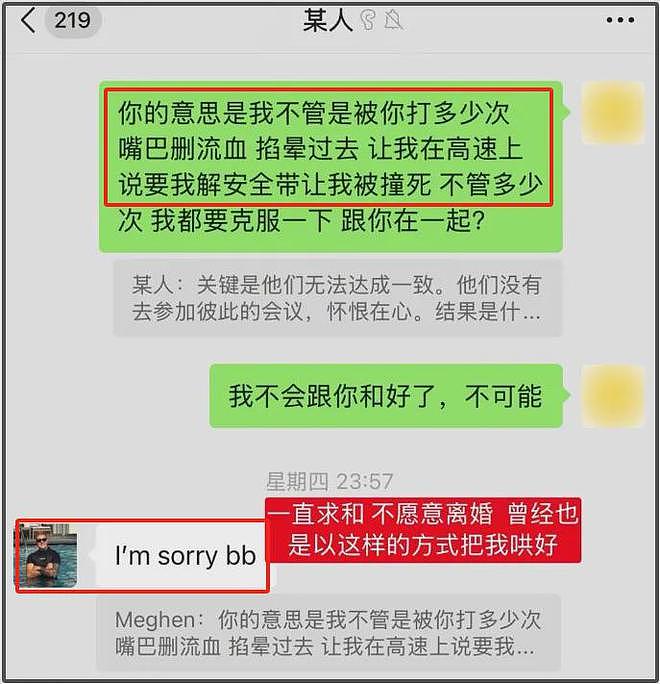 百万网红跨国夫妻离婚风波升级！女方自曝被家暴，男方当孩子面动手（组图） - 4