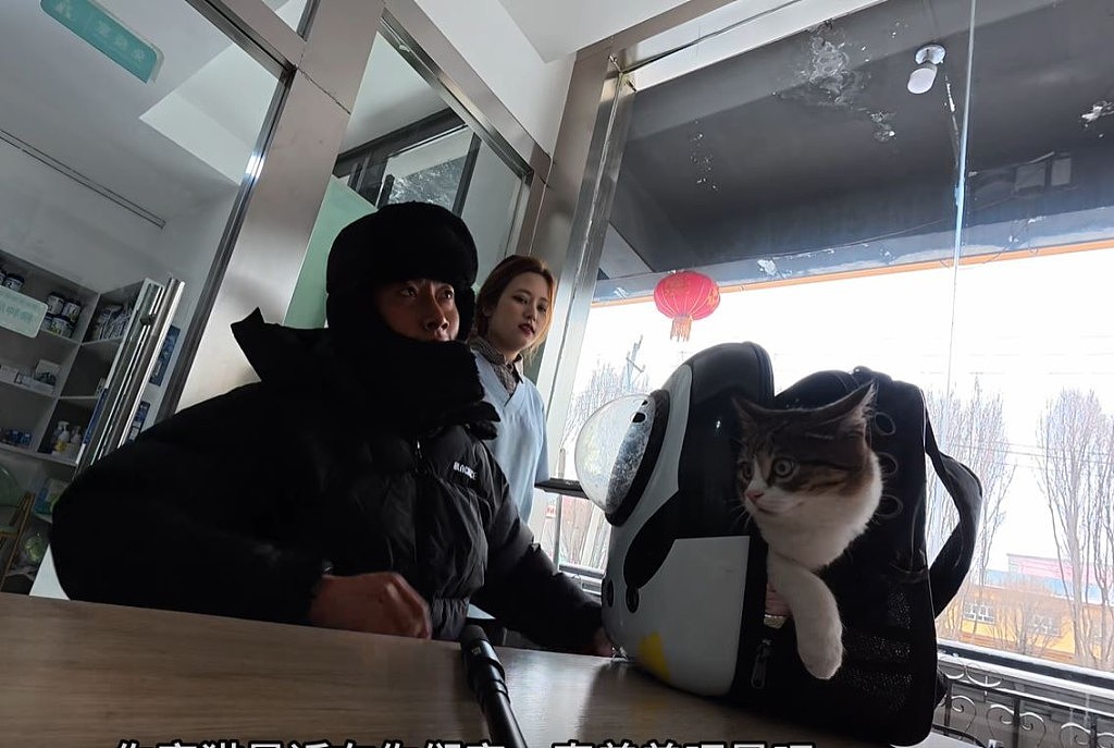 网红猫“悟空”新疆被车撞死!曾随主人上雪山越戈壁(组图) - 14
