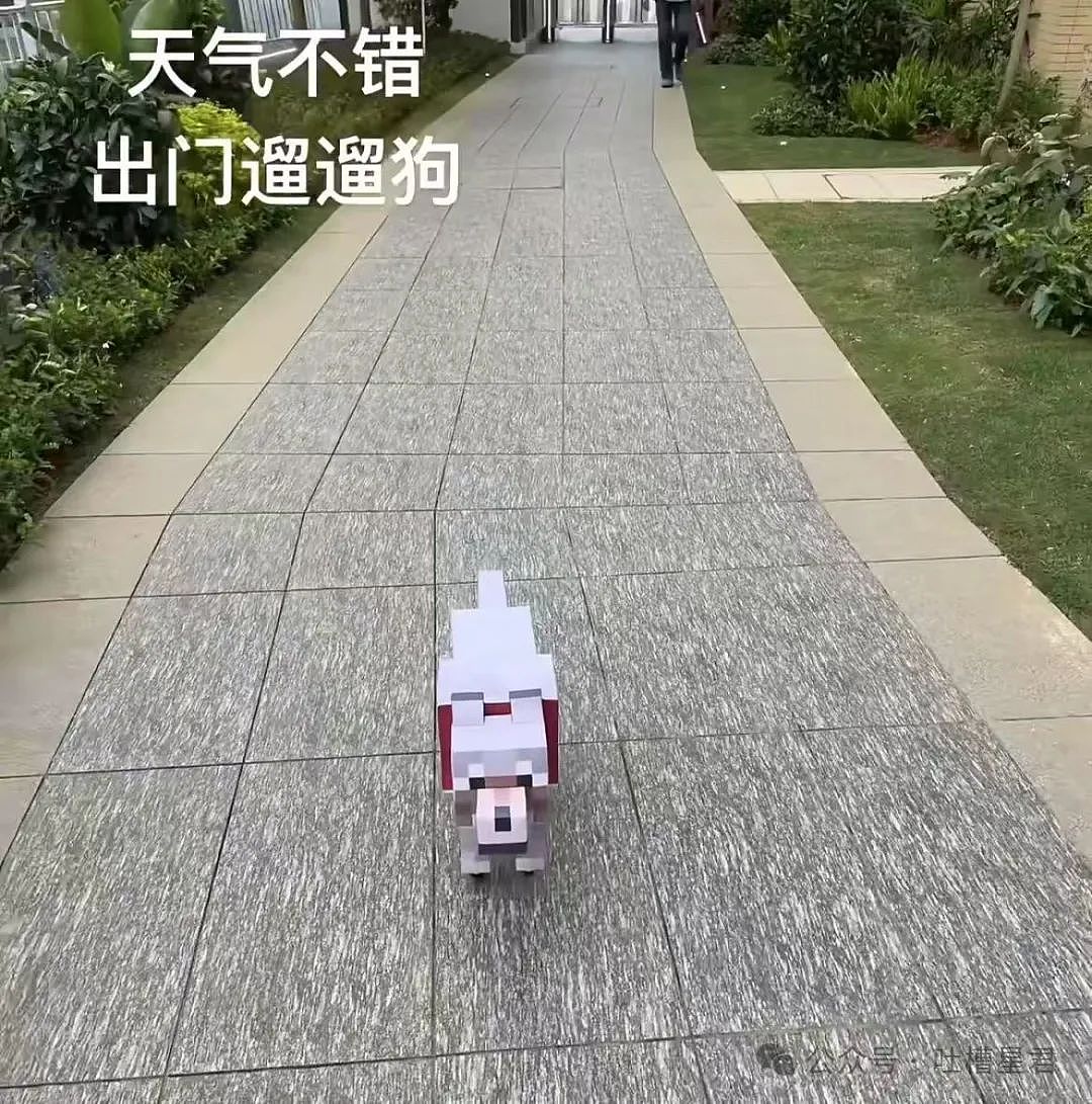 【爆笑】前男友大早上砸钱让我陪聊...?啊啊啊好浓的铜臭味熏到我了(组图) - 27