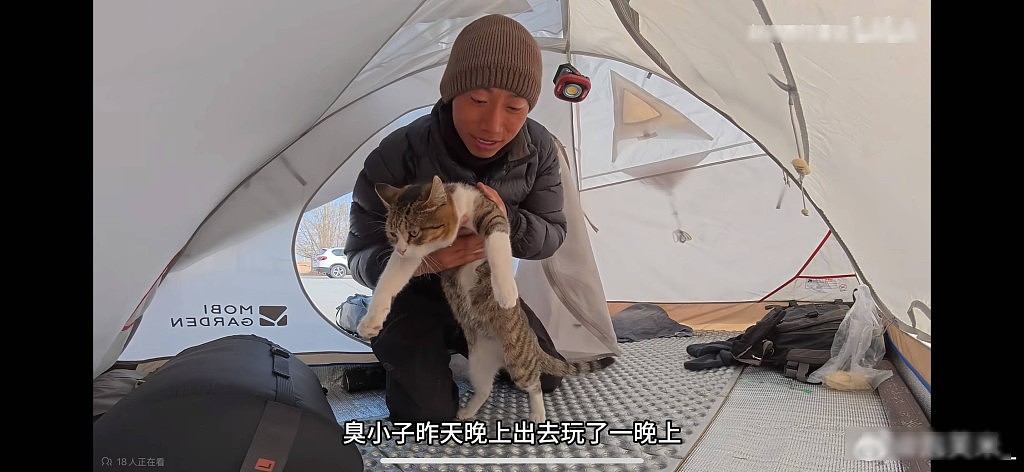 网红猫“悟空”新疆被车撞死!曾随主人上雪山越戈壁(组图) - 8