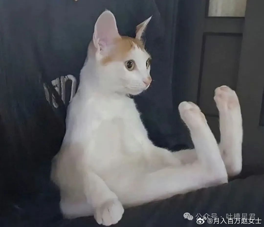 【爆笑】前男友大早上砸钱让我陪聊...?啊啊啊好浓的铜臭味熏到我了(组图) - 54
