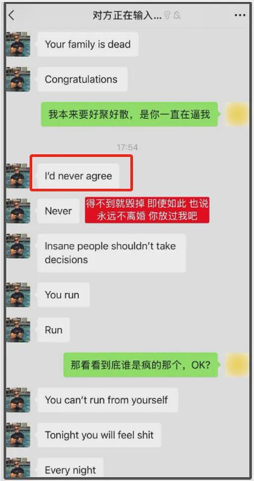 百万网红跨国夫妻离婚风波升级！女方自曝被家暴，男方当孩子面动手（组图） - 7