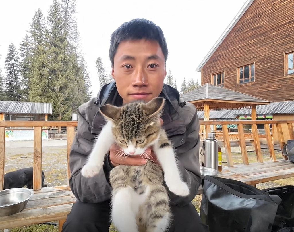 网红猫“悟空”新疆被车撞死!曾随主人上雪山越戈壁(组图) - 15
