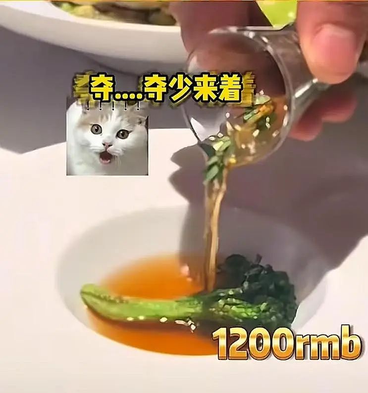 上海毁三观的“富人花3888元吃大象粪便”事件，暴露出专坑有钱人的新型智商税（组图） - 15