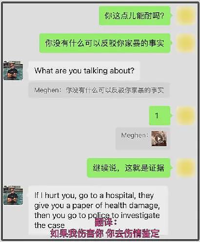 百万网红跨国夫妻离婚风波升级！女方自曝被家暴，男方当孩子面动手（组图） - 14
