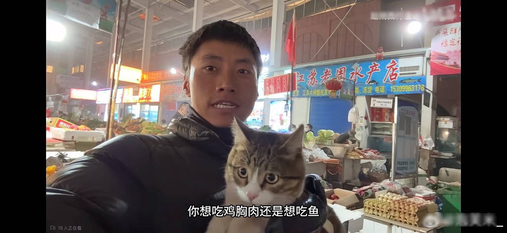 网红猫“悟空”新疆被车撞死!曾随主人上雪山越戈壁(组图) - 7