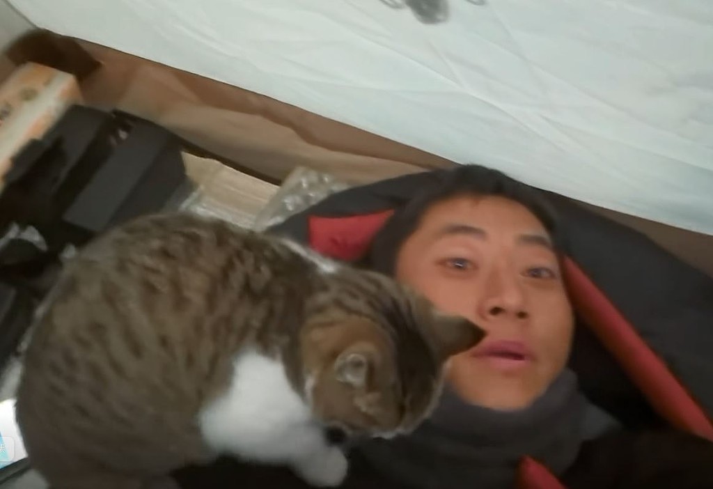 网红猫“悟空”新疆被车撞死!曾随主人上雪山越戈壁(组图) - 16