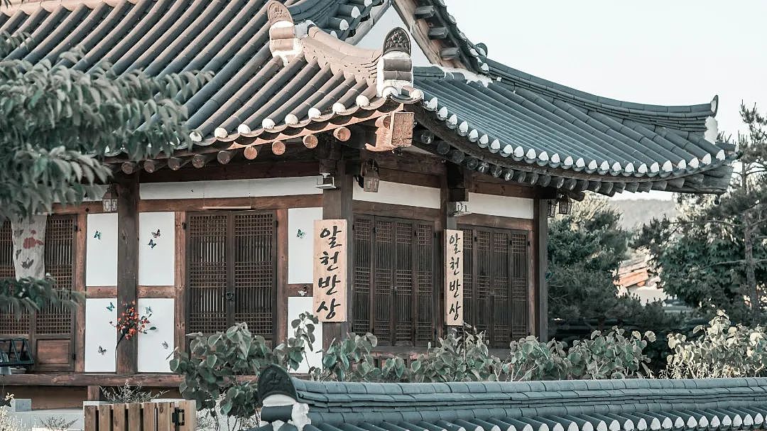 在欧洲年轻人眼中，亚洲=日韩？那中国去哪了？（组图） - 3