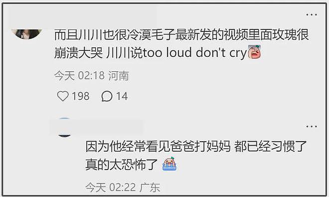 百万网红跨国夫妻离婚风波升级！女方自曝被家暴，男方当孩子面动手（组图） - 17