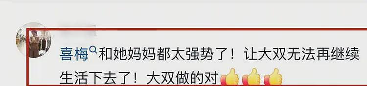 网红总裁李喜梅二度离婚!前夫大双签署离婚协议,承诺不要一分钱(组图) - 20