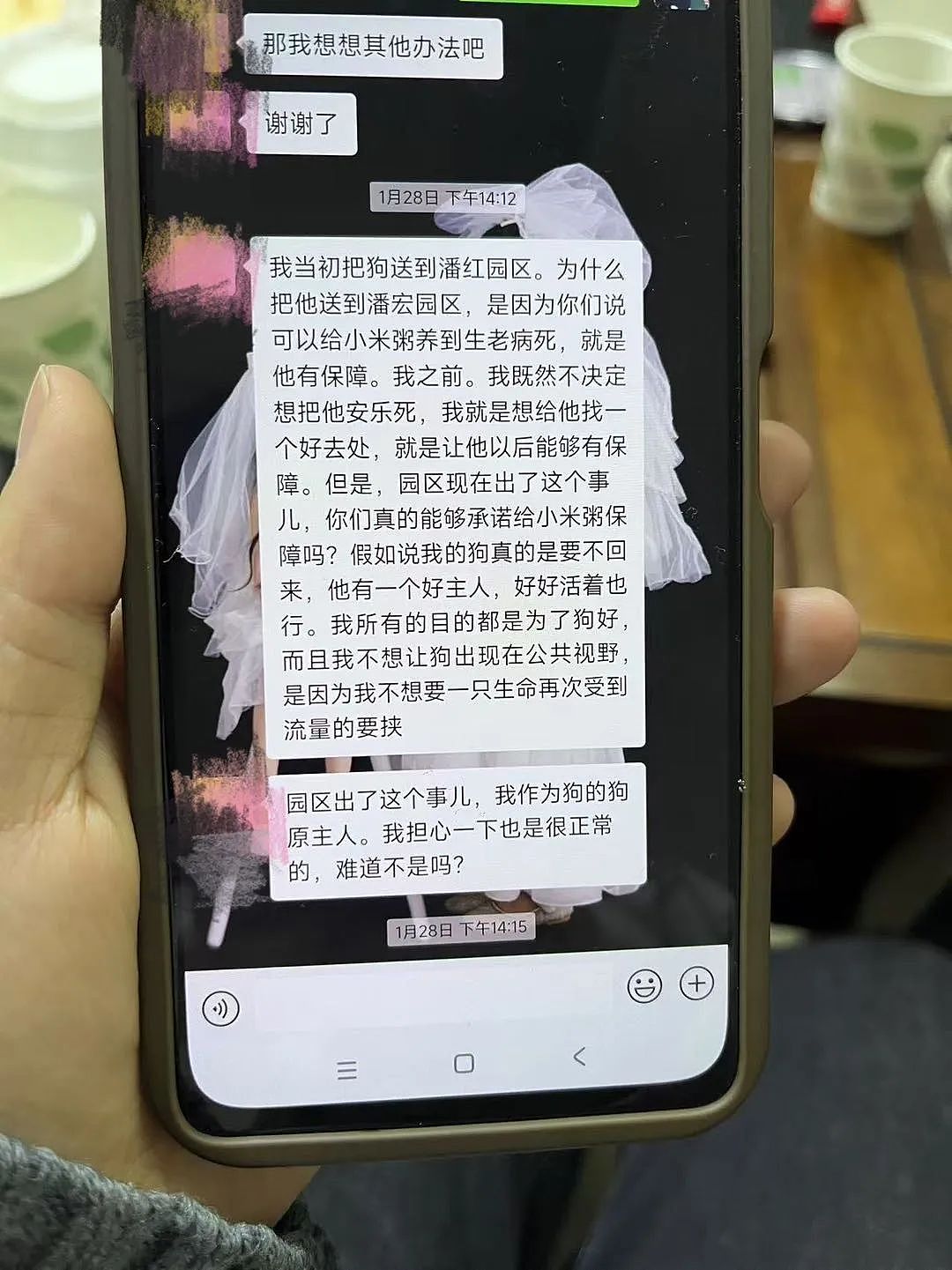 千万粉丝网红虐狗引爆网络:流量世界里的“恶犬集中营”(组图) - 5