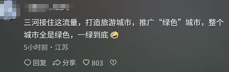 后续来了!三河市招牌换色原因曝光,各大官媒怒批,负责人被免(组图) - 21