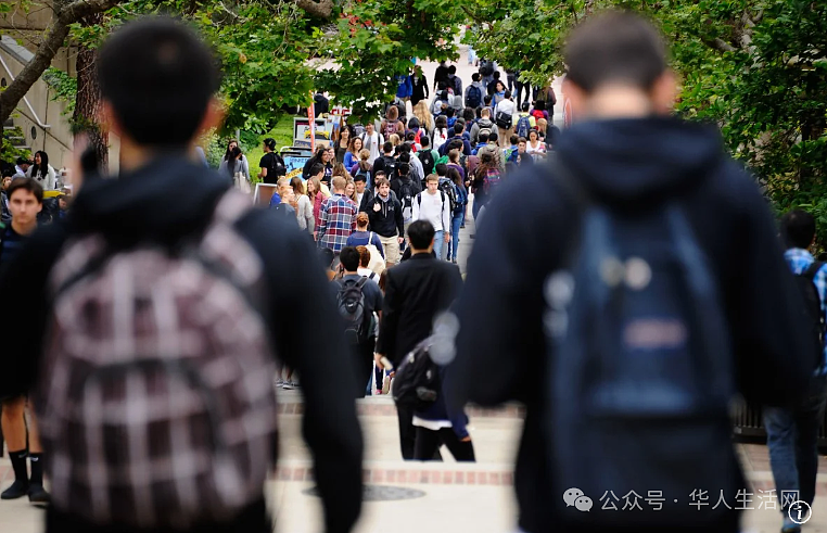 近800名留学生被取消签证!入境被关禁闭16天(组图) - 3
