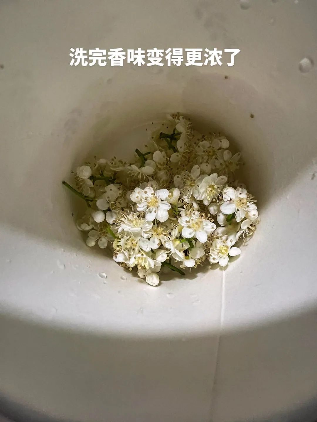 【爆笑】在男朋友包里发现一个硅胶用品，我怀疑是避孕的，但网友都说看起来太不正常了...（组图） - 14