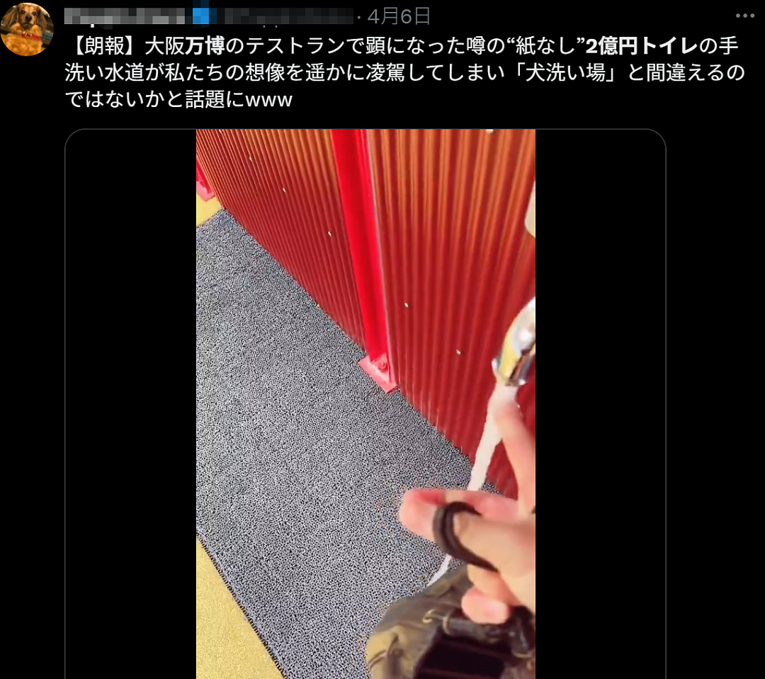 日本世博会首日涌入14万人直接傻眼！建筑坍塌、毛坯场馆、天价餐食，厕所还没纸…（组图） - 20