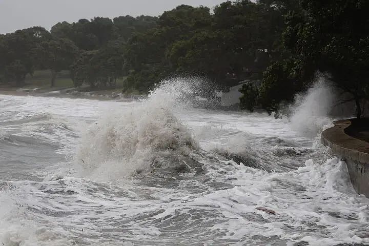 暴雨强风警报！奥克兰万户停电，千人彻夜抢修；旅客注意！海量积分无人消费；天降横财，周六开奖别错过（组图） - 12
