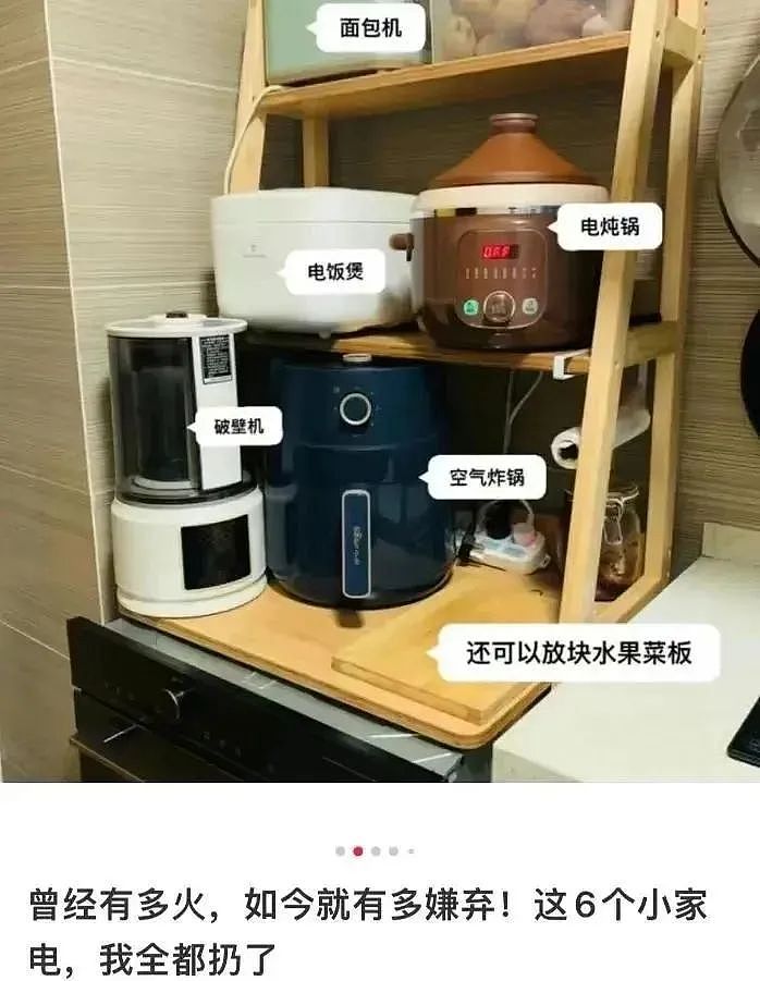 3折卖不动的网红家电，狂撬老外墙角（组图） - 16
