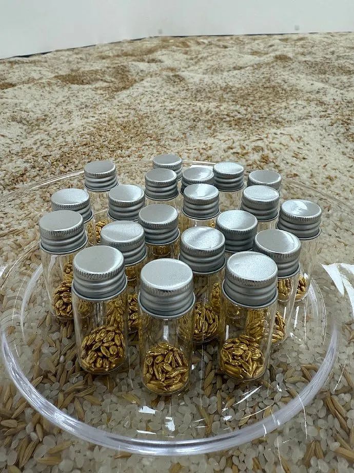 吸睛艺术?狂撒45万黄金!最狂创意人被审判了(组图) - 2