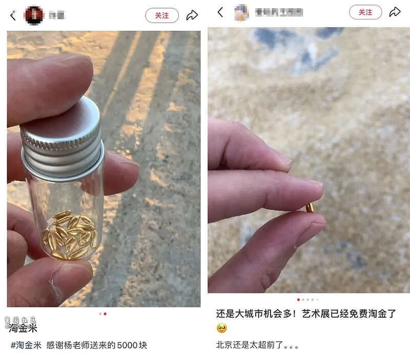 吸睛艺术?狂撒45万黄金!最狂创意人被审判了(组图) - 19