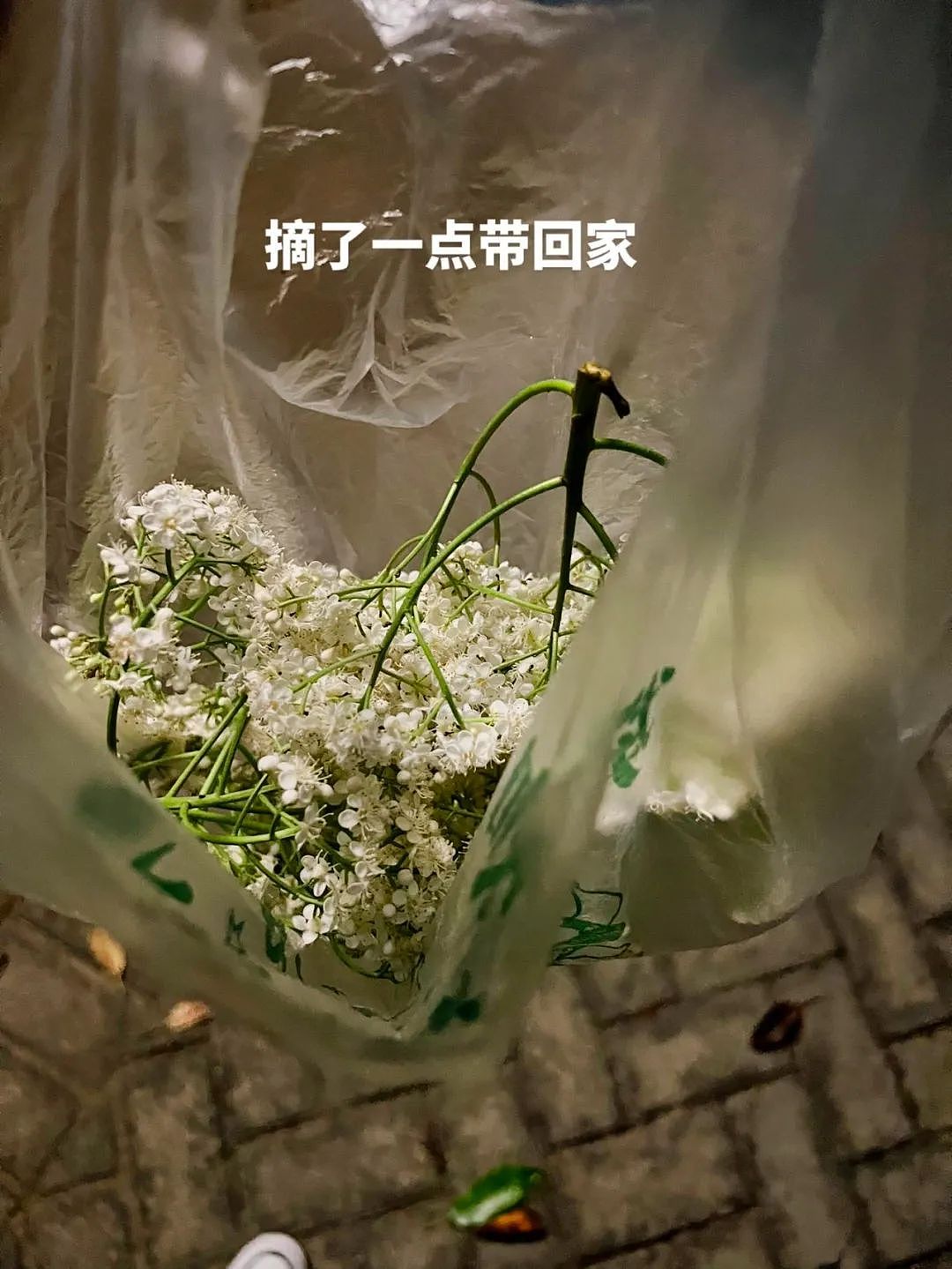 【爆笑】在男朋友包里发现一个硅胶用品，我怀疑是避孕的，但网友都说看起来太不正常了...（组图） - 12