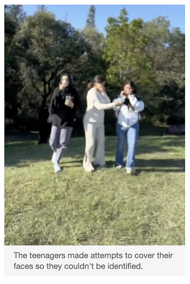 悉尼热门游乐场出事儿了！有家长遭teenagers围攻，妈妈抱着孩子瑟瑟发抖...（组图） - 7