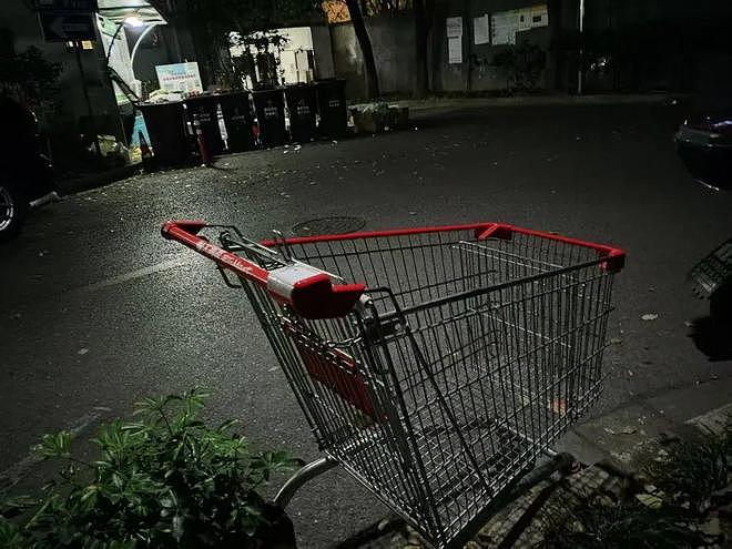 上海市民吐槽：大量超市购物车“流落”在外！马路上、小区里都有，有些已沦为“垃圾车”（组图） - 4