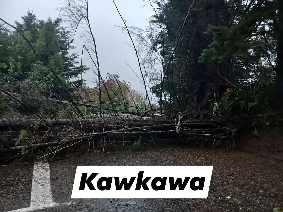 暴雨强风警报！奥克兰万户停电，千人彻夜抢修；旅客注意！海量积分无人消费；天降横财，周六开奖别错过（组图） - 4