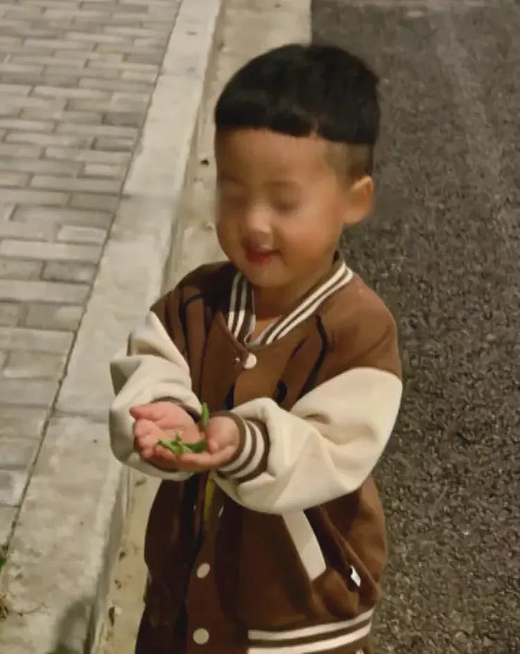 3岁男童被虐致死案生母:孩子抢救时听到妈妈来了流下眼泪(组图) - 4