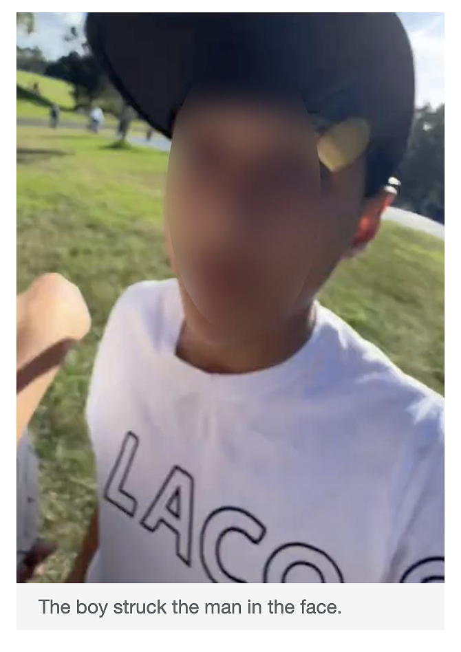 悉尼热门游乐场出事儿了！有家长遭teenagers围攻，妈妈抱着孩子瑟瑟发抖...（组图） - 6