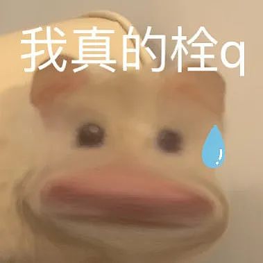 上海一女教师安福路上怒怼“老法师偷拍”:天天拍小姑娘的胸和腿!被骂爷叔:委屈(组图) - 52
