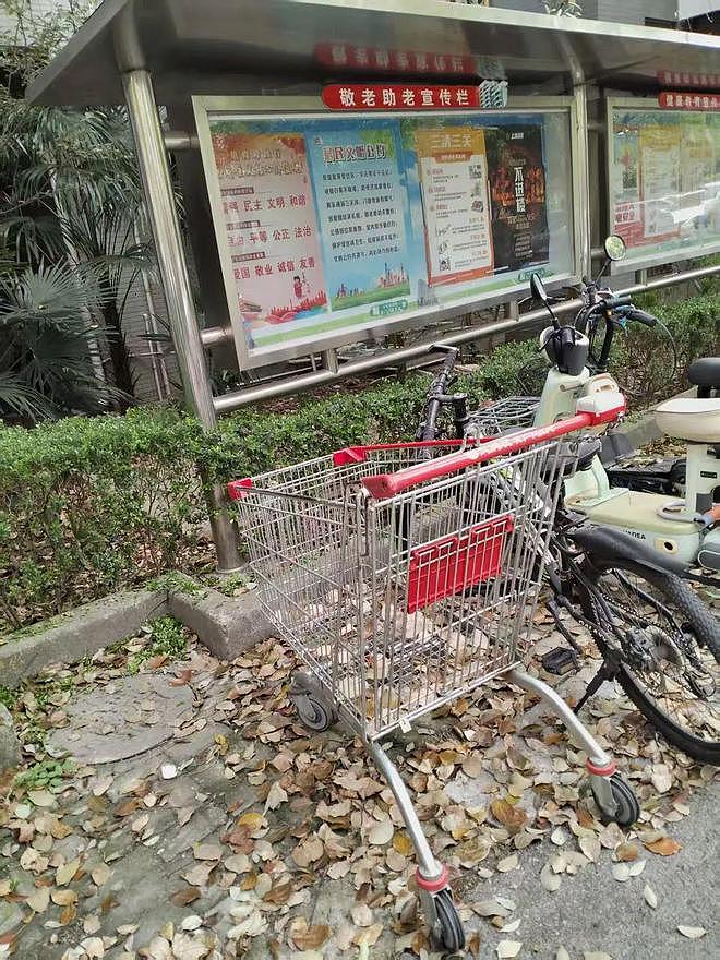 上海市民吐槽：大量超市购物车“流落”在外！马路上、小区里都有，有些已沦为“垃圾车”（组图） - 3