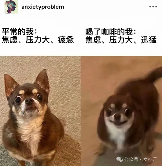 【爆笑】爱马仕的点唱机要230万元?还是透视的?网友迷惑:买了是陈奕迅会出来唱歌吗?(组图) - 19