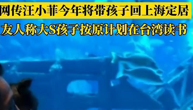 大S下葬后最新进展！汪小菲黄春梅具俊晔小s，纷纷表态（组图） - 5