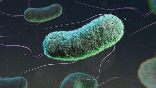 研究显示三百万儿童死亡与抗菌素耐药性有关（图） - 1