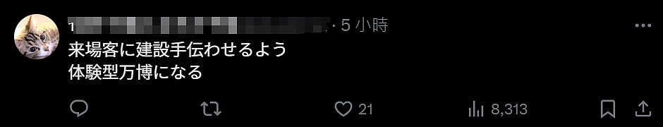 日本世博会首日涌入14万人直接傻眼！建筑坍塌、毛坯场馆、天价餐食，厕所还没纸…（组图） - 24