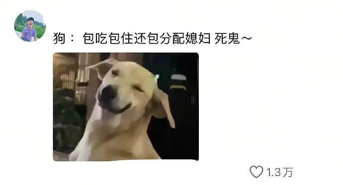 【爆笑】在男朋友包里发现一个硅胶用品，我怀疑是避孕的，但网友都说看起来太不正常了...（组图） - 30