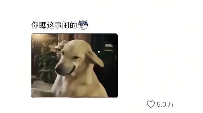 【爆笑】在男朋友包里发现一个硅胶用品，我怀疑是避孕的，但网友都说看起来太不正常了...（组图） - 29