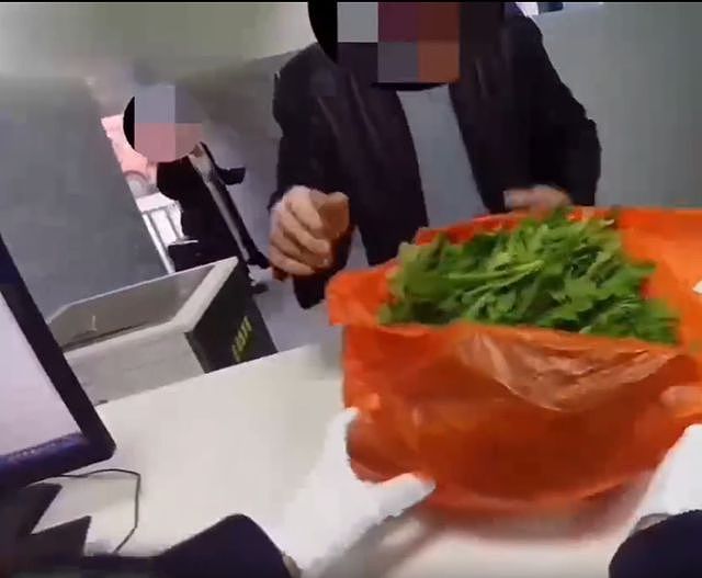 男子大摇大摆拎着981株罂粟苗入境云南，已被扣留（组图） - 2